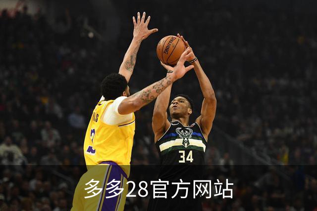 多多28官方网站公司介绍图